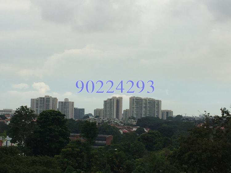 Blk 476 Ang Mo Kio Avenue 10 (Ang Mo Kio), HDB 3 Rooms #150950332